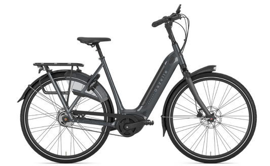 2025 Gazelle Arroyo C5 HMB Elite
