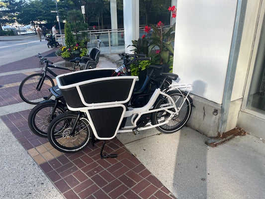 Urban Arrow Shorty