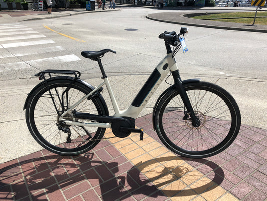 Gazelle Ultimate T10 Pre-Owned