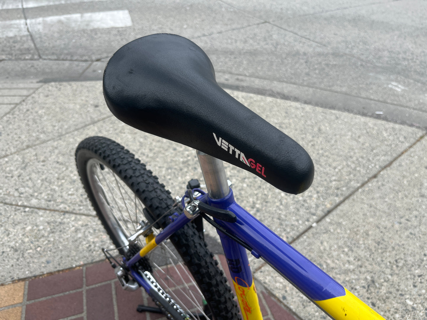 Coyote Pro Vintage Mountain Bike Pre-Owned
