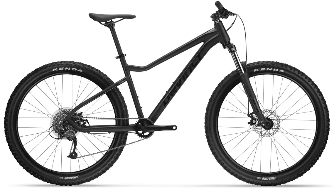 Devinci Blackbird Altus 8S