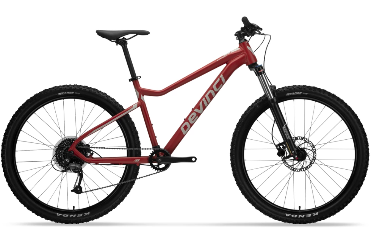 Devinci Blackbird Altus 9S