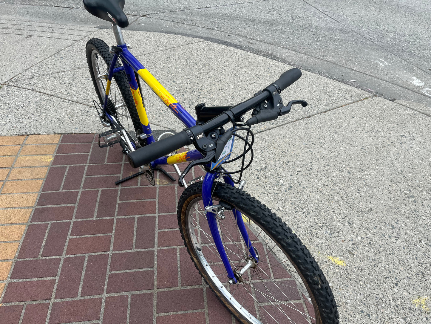 Coyote Pro Vintage Mountain Bike Pre-Owned