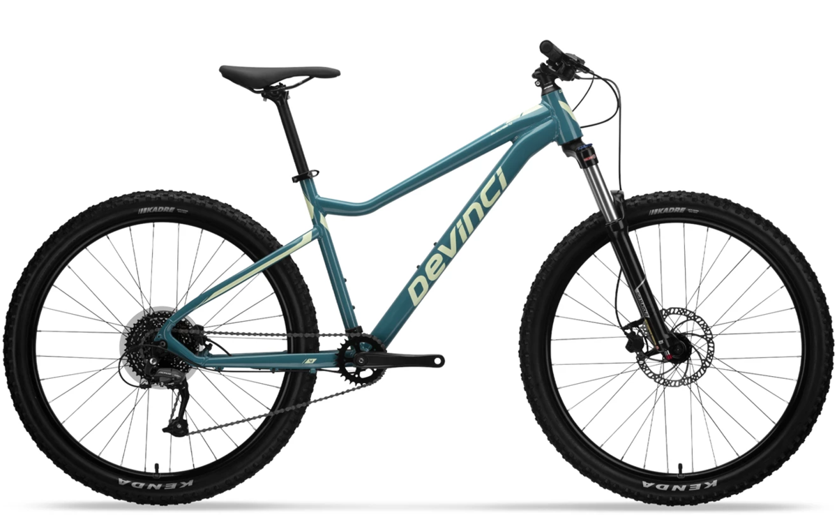 Devinci Blackbird Altus 9S